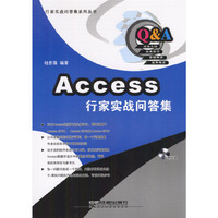 Access 行家实战问答集