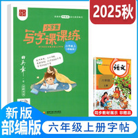 2025秋田英章小学生写字课课练六年级上册教材同步字帖生字描红规范写字练习册