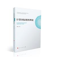 计算国际组织理论