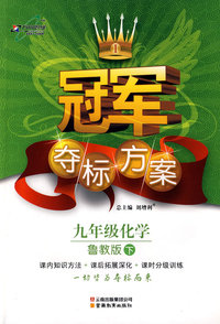 冠军夺标方案：九年级化学—鲁科版（下）