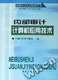 内部审计计算机应用技术