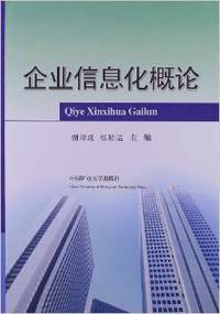 企业信息化概论