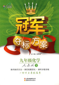 冠军夺标方案：九年级化学—人教版（下）