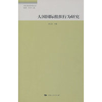 大国国际组织行为研究