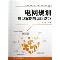 电网规划典型案例与风险防范