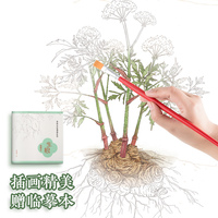 中药文化传承系列生根精装版 王秋玲 连天赐中医药文化读本绘本临摹本插画小学生课外书陕西科学技术出版社