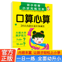 20以内进位退位加减法 3-6岁幼儿数学基础知识点强化训练幼小衔接一日一练 轻松上小学全套整合教材