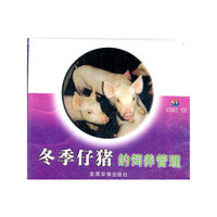 冬季仔猪的饲养管理