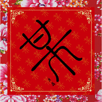 某-方磊（CD）（京东专卖）