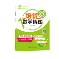 培优数学精练（八年级第二学期）基础拔高拓展 有梯度有难度 助你成为优等生 配上海新教材