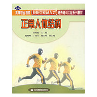 正常人体结构