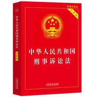 2025中华人民共和国刑事诉讼法（实用版）