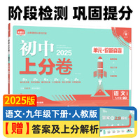 2025版理想树初中上分卷 九年级下册 语文 阶段检测巩固提分 人教版