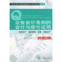 企业会计准则的会计与审计应用——固定资产、借款费用、租赁、无形资产