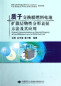 质子交换膜燃料电池扩散层物性分形表征文法及其应用