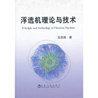 浮选机理论与技术