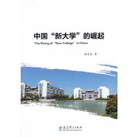 中国新大学的崛起