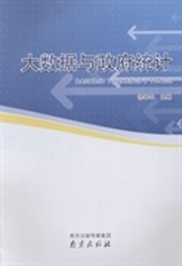 大数据与政府统计