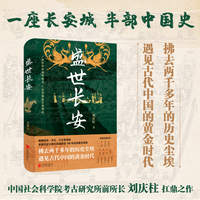 盛世长安（实景还原 + 考古成果 + 文献印证，全景式呈现长安从汉到唐的城市细节）