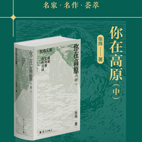 你在高原（中）（精装）