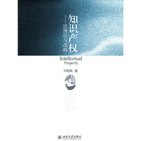 知识产权(法理论与战略)