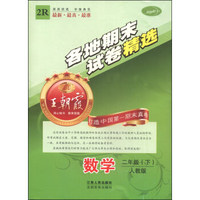 王朝霞系列丛书·各地期末试卷精选：数学（二年级下 人教版）