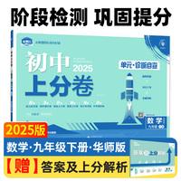 2025版理想树初中上分卷 九年级下册 数学 阶段检测巩固提分 华师版