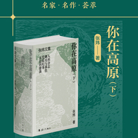你在高原（下）（精装）