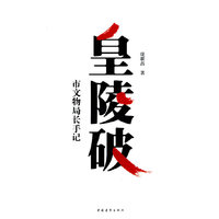 皇陵破－市文物局长手记