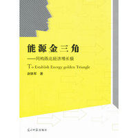 能源金三角—同构西北经济增长极