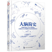 大脑简史