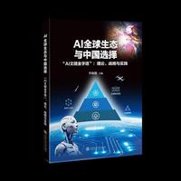 AI全球生态与中国选择 “AI文明金字塔”：理论、战略与实践