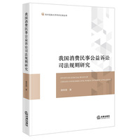 我国消费民事公益诉讼司法规则研究