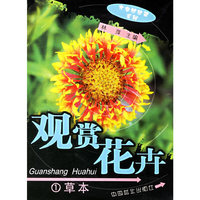 观花花卉.1草本