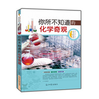 在科学海洋漫游:你所不知道的化学奇观(双色版)