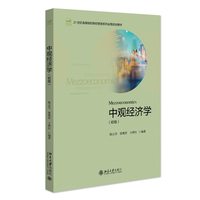 中观经济学（初级）