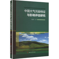 中国大气污染特征与影响评估研究