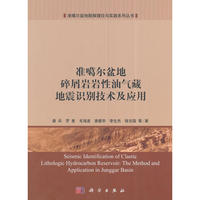 准噶尔盆地碎屑岩岩性油气藏地震识别技术及应用