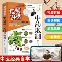 视频讲透中药炮制从入门到精通 中医经典自学图文结合讲解更全面细致国家级非物质文化遗产传统技艺 中药炮制 实践技巧