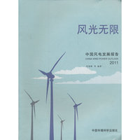 2011-风光无限-中国风电发展报告