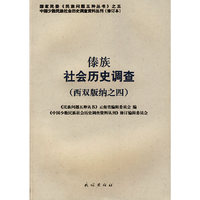傣族社会历史调查.西双版纳.4(中国少数民族社会历史调查资料丛刊)
