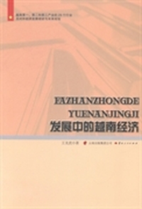 发展中的越南经济