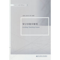 审计学教学案例