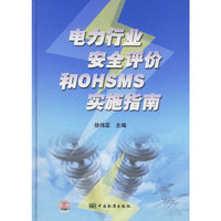 电力行业安全评价和OHSMS实施指南