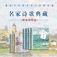 北岛诗精选（名家诗歌典藏-彩插新版）