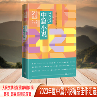 21世纪年度小说选 2023中篇小说