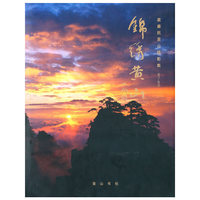 锦绣黄山——袁廉民黄山摄影集（艺术）