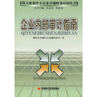 企业内部审计指南/倚天机构中小企业卓越财务培训丛书