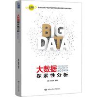 大数据探索性分析(大数据分析统计应用丛书)