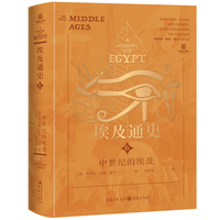 埃及通史：中世纪的埃及